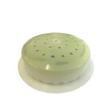 Urinal Cap