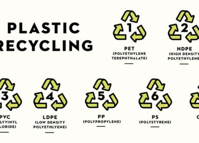 Taking a Look at Common Recycle Numbers & What They Mean